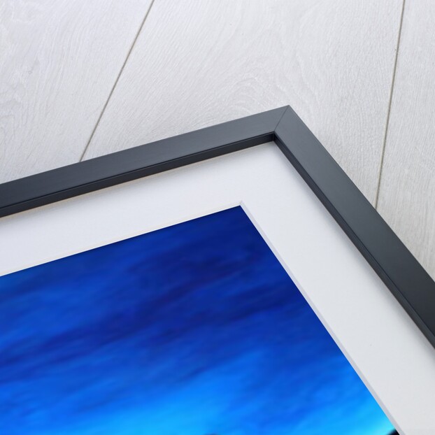 Ti-Jean le violoniste, 2008 by Patricia Brintle