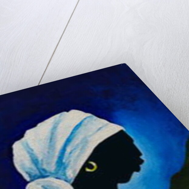 Resham shawl, 2018 by Patricia Brintle