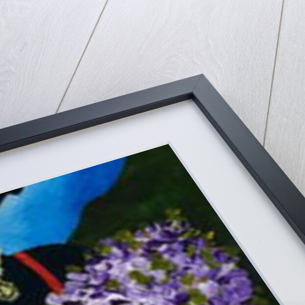 Resham shawl, 2018 by Patricia Brintle