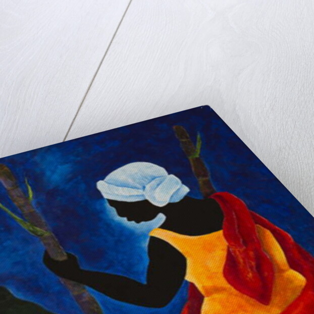 To the sugarcane field, 2013 by Patricia Brintle