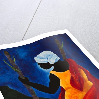 To the sugarcane field, 2013 by Patricia Brintle