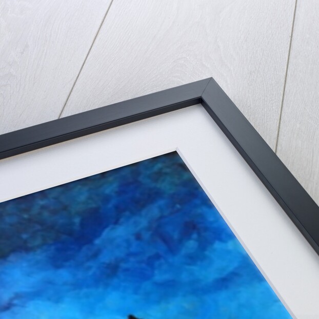 A New Dawn Rising, 2008 by Patricia Brintle