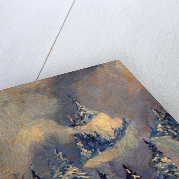 Big Horn Peak, 2009 by Patricia Brintle