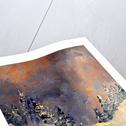 Mist on the Snow Peak, 2009 by Patricia Brintle