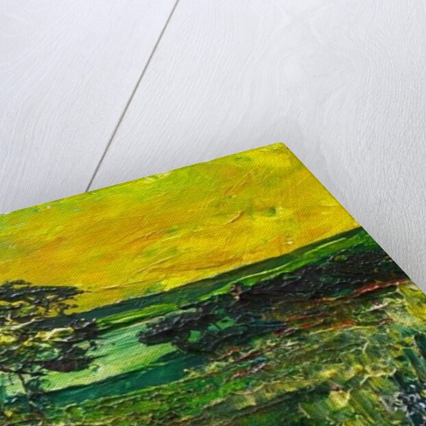 Vers L'Etang de Miragoane, 2010 by Patricia Brintle
