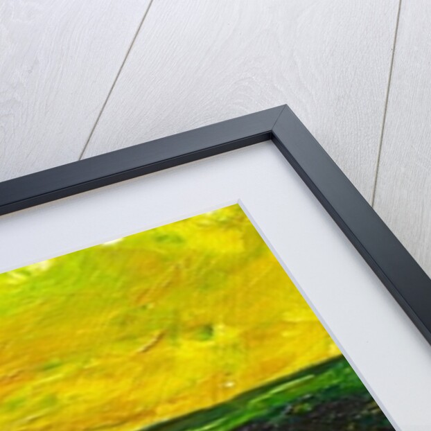 Vers L'Etang de Miragoane, 2010 by Patricia Brintle