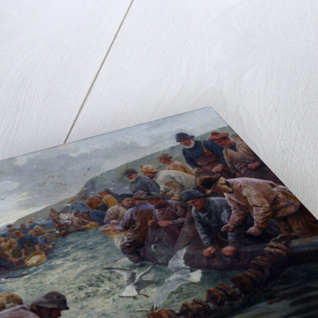 Tucking a School of Pilchards, 1897 by Percy Robert Craft