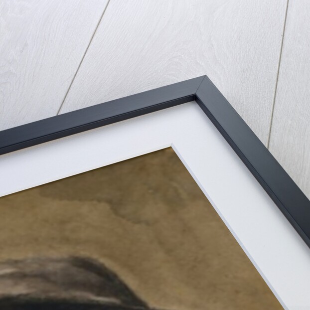 The Pilot by William John Wainwright