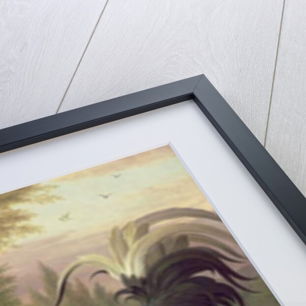 Cockerels and Pigeons by Jakob Bogdani or Bogdany