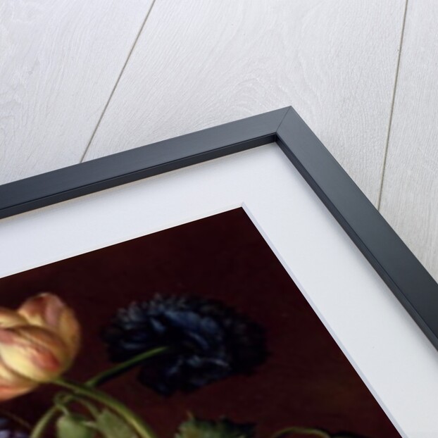 Flowers and fruit with a bird's nest on a Ledge, 1821 by Franz Xavier Petter