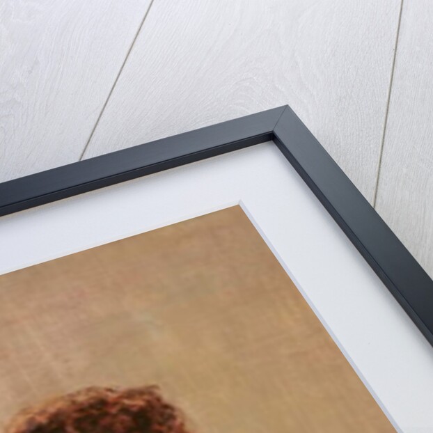 Portrait of a Woman, 1892 by Franz von Stuck