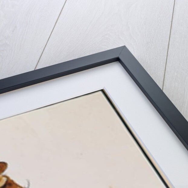 Seated Woman, 1912 by Egon Schiele