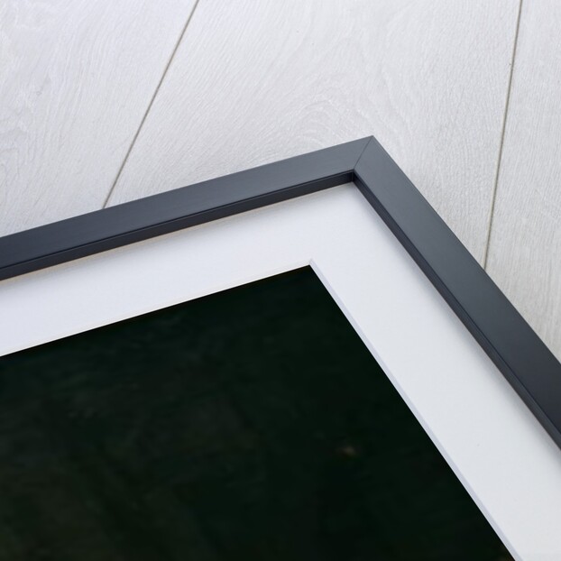 The Call for the last victims of the Terror, 7-9 Thermidor, Year 2, after 1850 by Charles Louis Lucien Muller