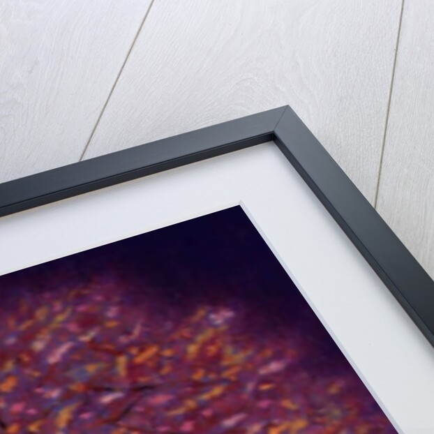 Gold Tree, 1997 by Peter Davidson