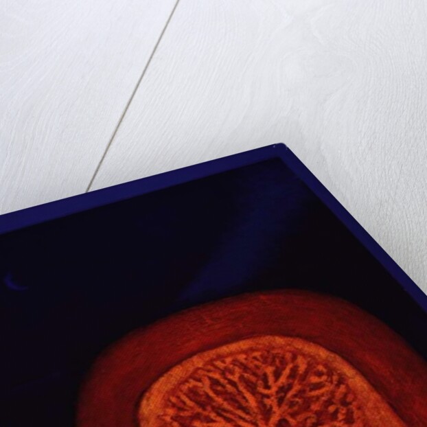 Archway, 1997 by Peter Davidson