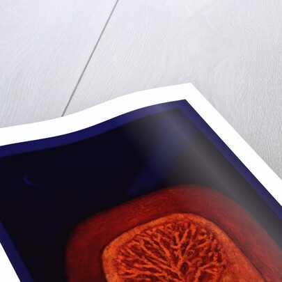 Archway, 1997 by Peter Davidson