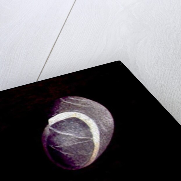 Fish and Rock Form, 1997 by Peter Davidson