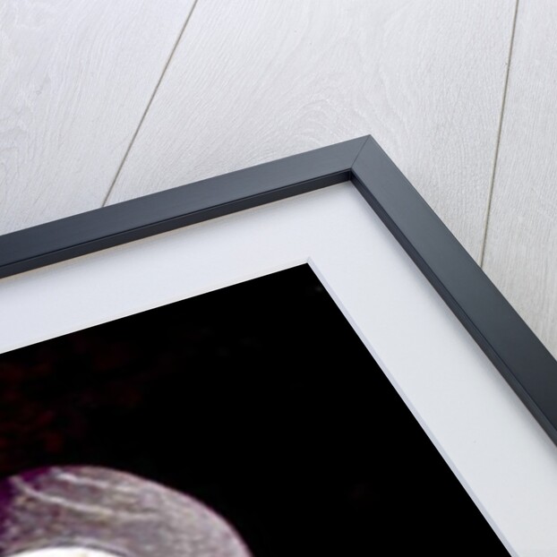 Fish and Rock Form, 1997 by Peter Davidson