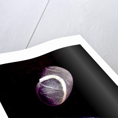 Fish and Rock Form, 1997 by Peter Davidson