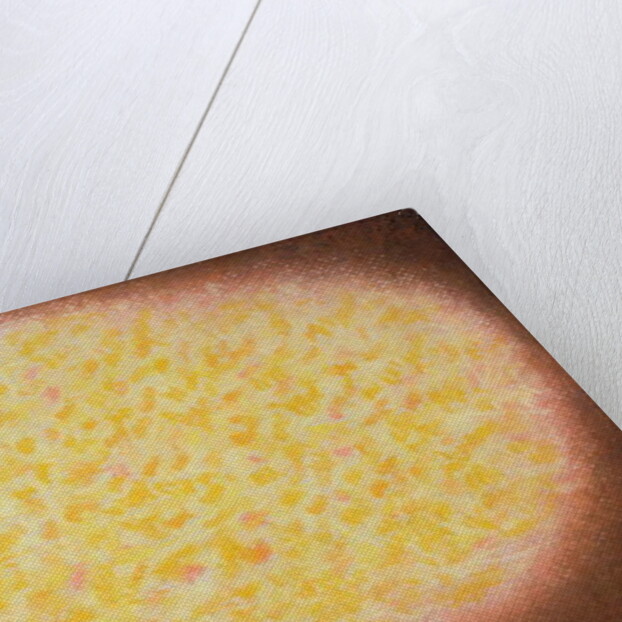 Untitled by Peter Davidson