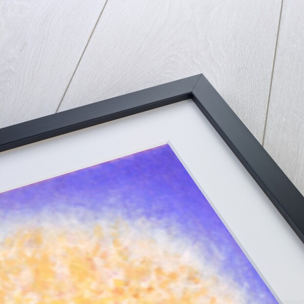 Untitled by Peter Davidson