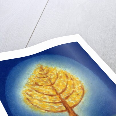 Glowing Tree, 1996 by Peter Davidson