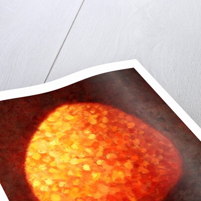 Sun Drenched Tree, 1996 by Peter Davidson