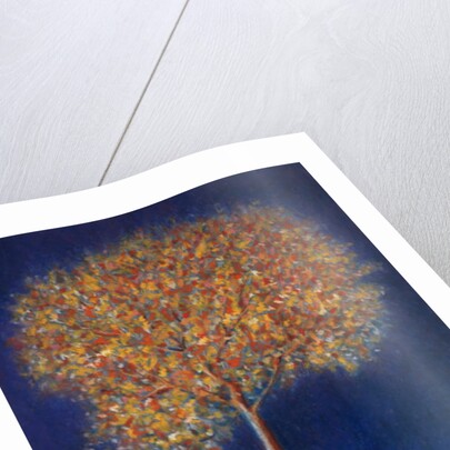 Tree in Blossom, 1997 by Peter Davidson