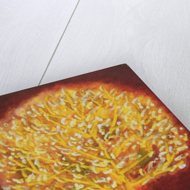Blossoming Tree, 1997 by Peter Davidson