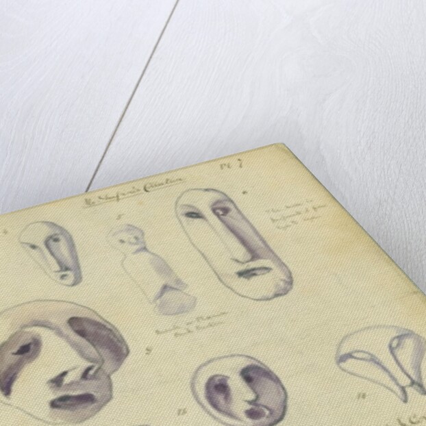 Idols from Mr Shapira's Collection by Claude Conder