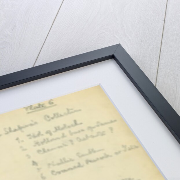 Mr Shapira's Collection by Claude Conder