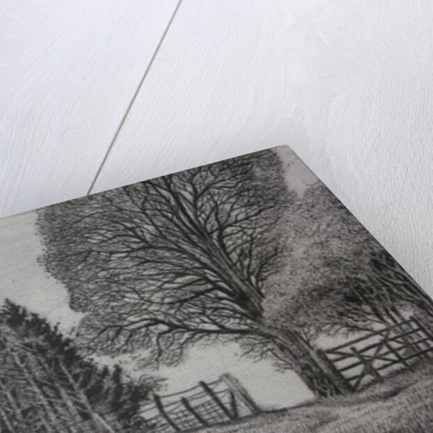 The Forest Path - Spring by Peter A Ford