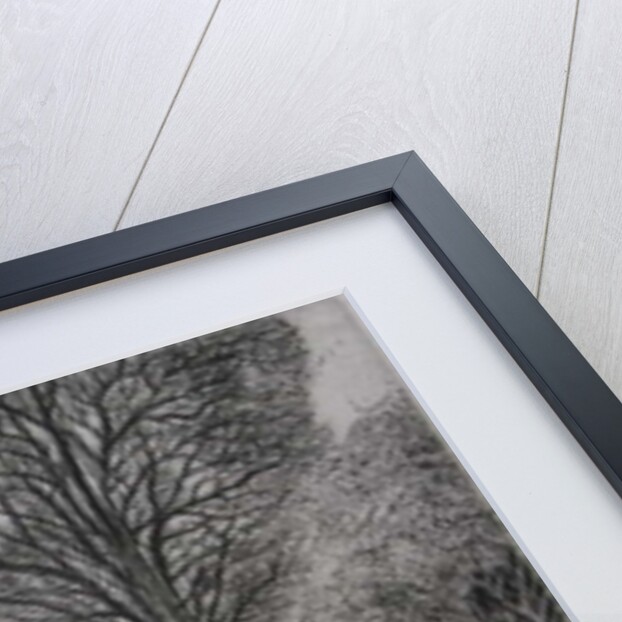 The Forest Path - Spring by Peter A Ford