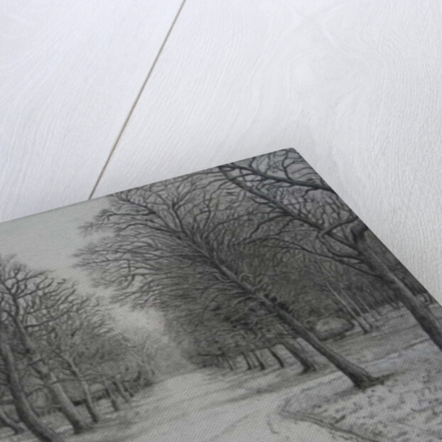 Kew Gardens in Winter by Peter A Ford