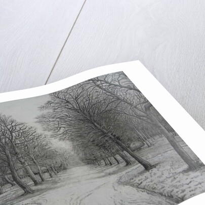 Kew Gardens in Winter by Peter A Ford