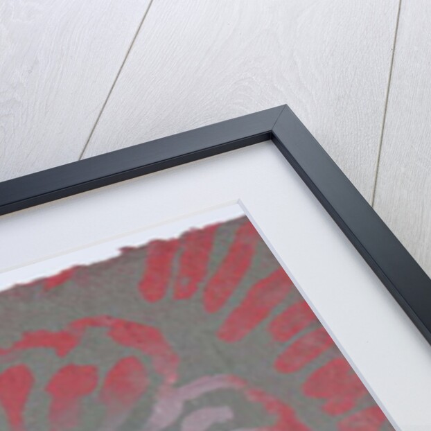 Wildflowers - V by Peter A Ford