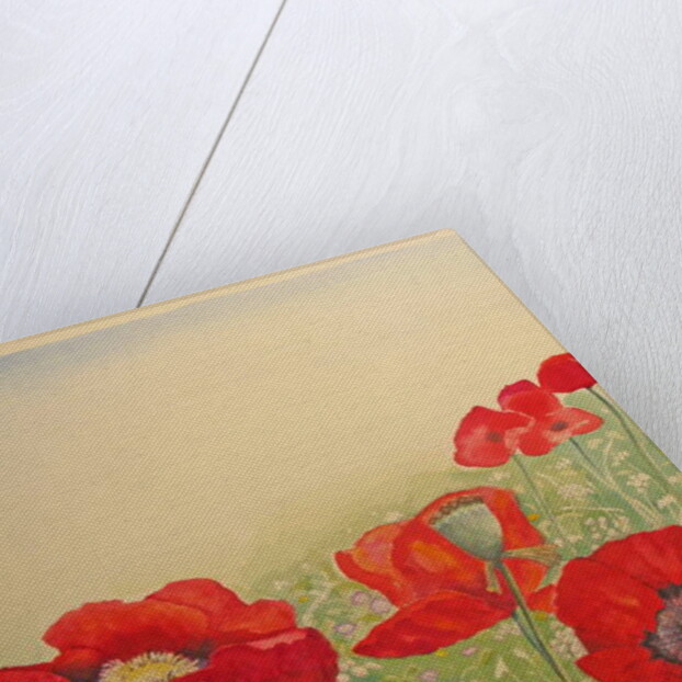 Poppy Field by Peter A Ford