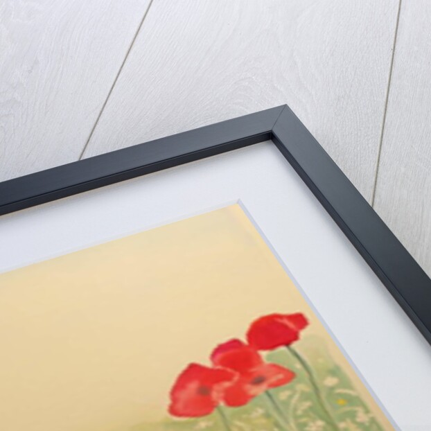 Poppy Field by Peter A Ford