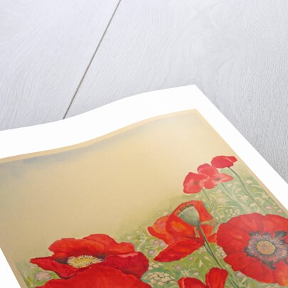 Poppy Field by Peter A Ford