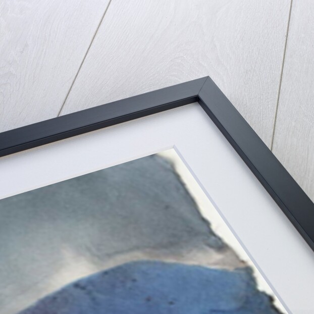 Blue Mountains by Peter A Ford