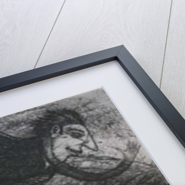 Pecking Order with High Flyer by Peter A Ford