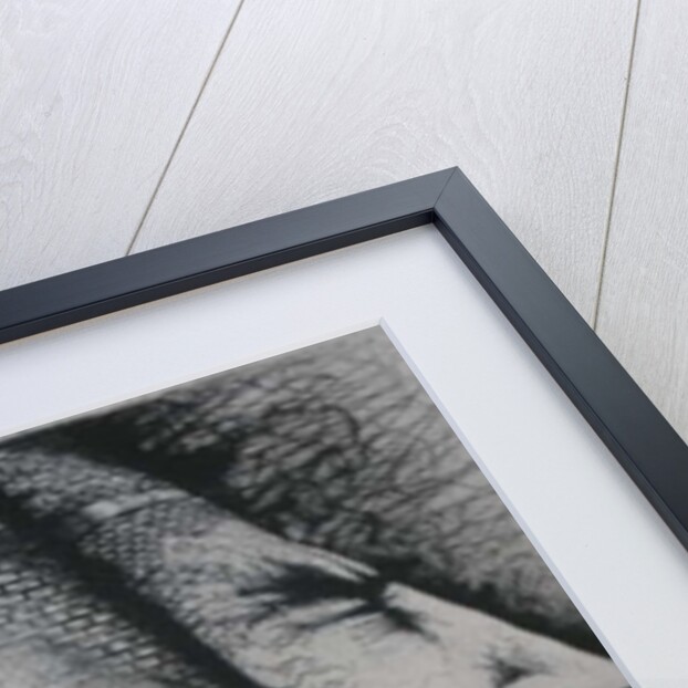 Minds Made Up by Peter A Ford