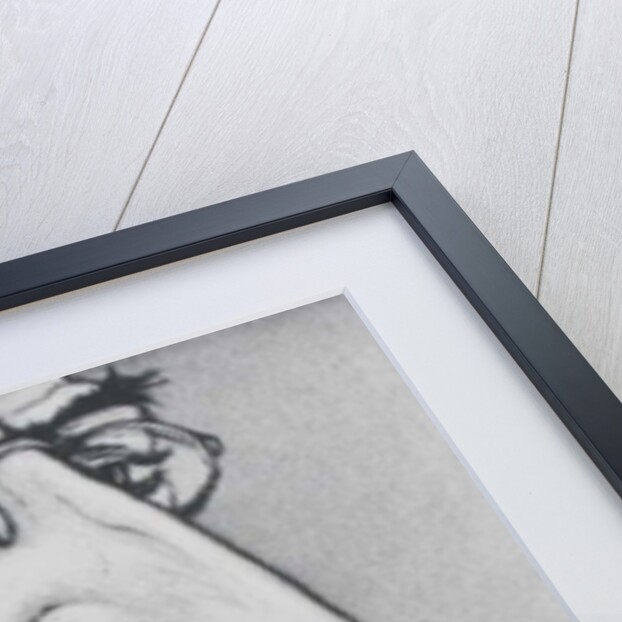 Any Questions by Peter A Ford