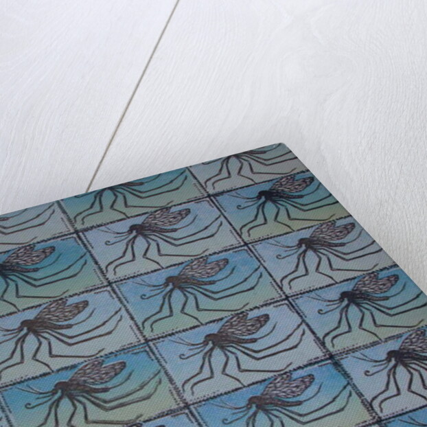 Mosquito Quadrille by Peter A Ford