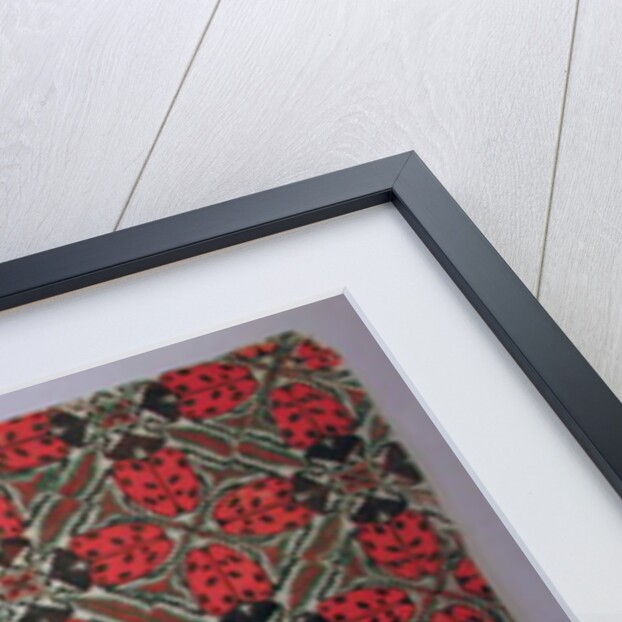 Insect Pattern - Ladybird by Peter A Ford