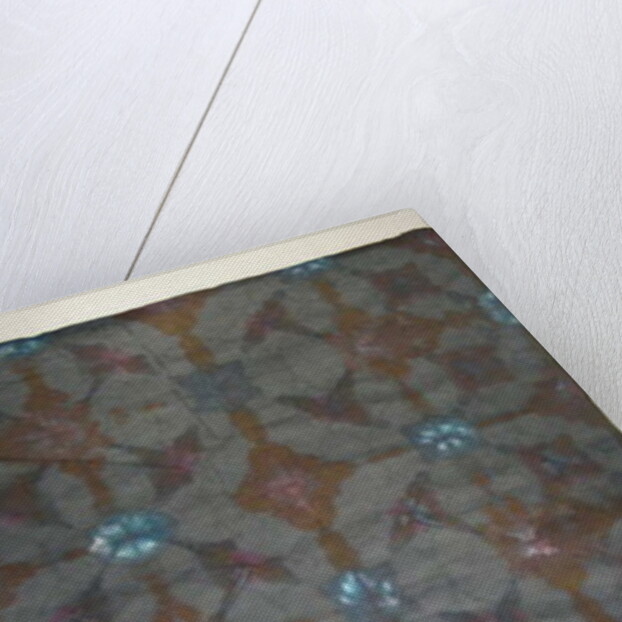 Morning Glory by Peter A Ford