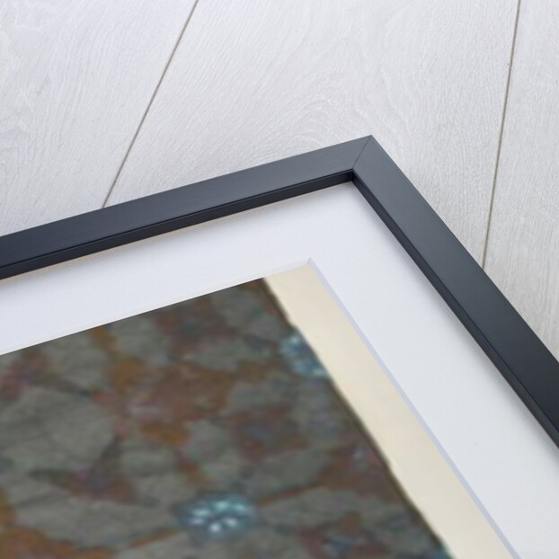 Morning Glory by Peter A Ford