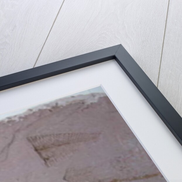 Shoal by Peter A Ford