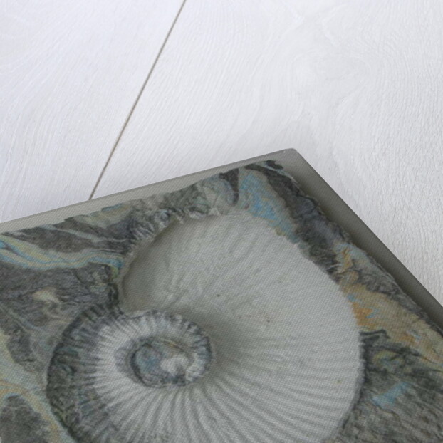 Helix 1 by Peter A Ford