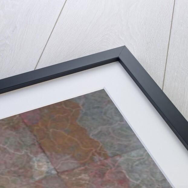 Out of Tasmania by Peter A Ford